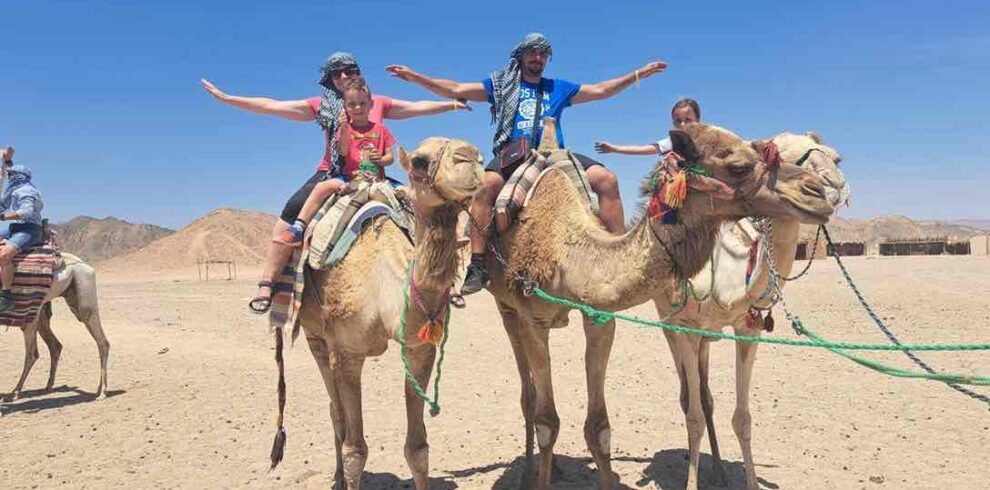 sharm el sheikh camel ride
