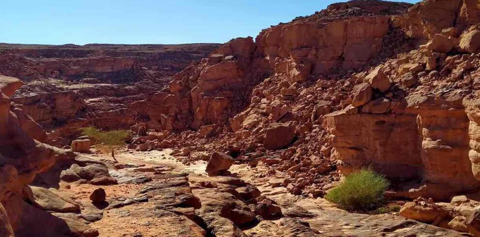 canyon salama