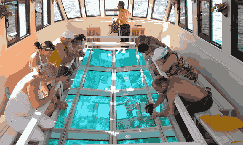 sharm el sheikh glass bottom boat trip