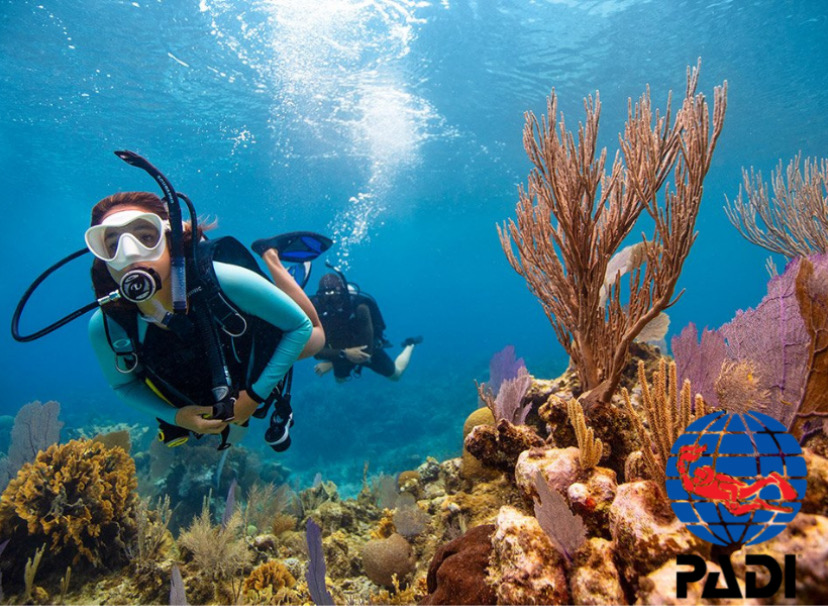 КУРС ДАЙВИНГА PADI OPEN WATER DIVER