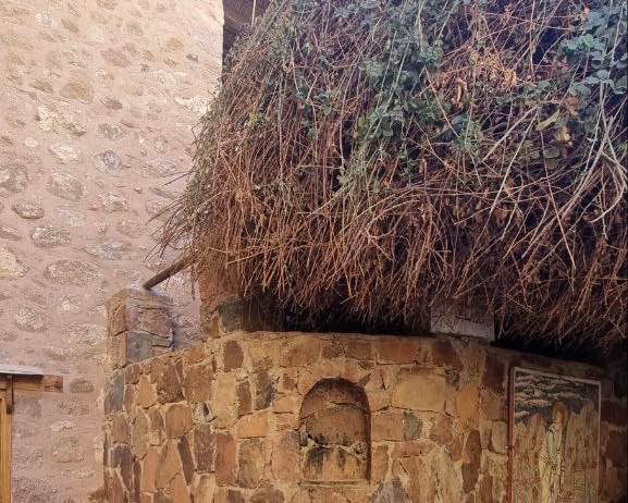 MOUNT SINAI AND ST. CATHERINES MONASTERY