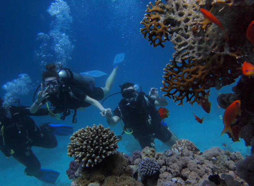 КУРС ДАЙВИНГА PADI OPEN WATER DIVER
