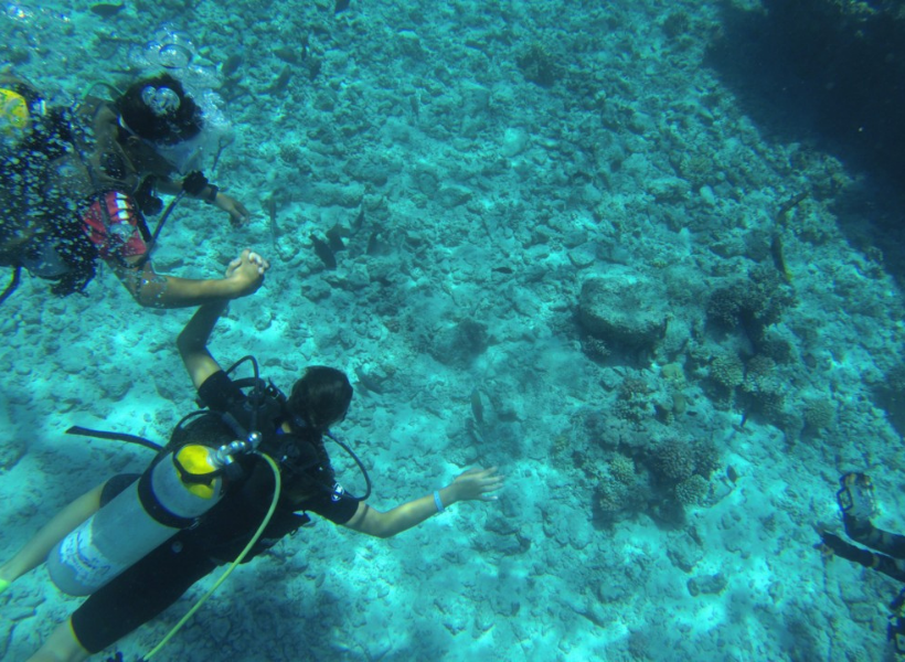 IMMERSIONE DA UNA BARCA