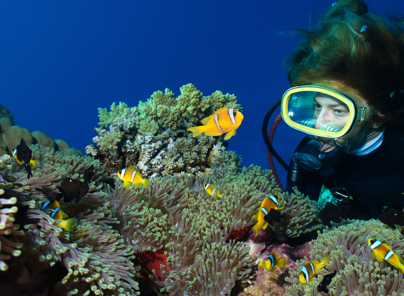 IMMERSIONE DA UNA BARCA