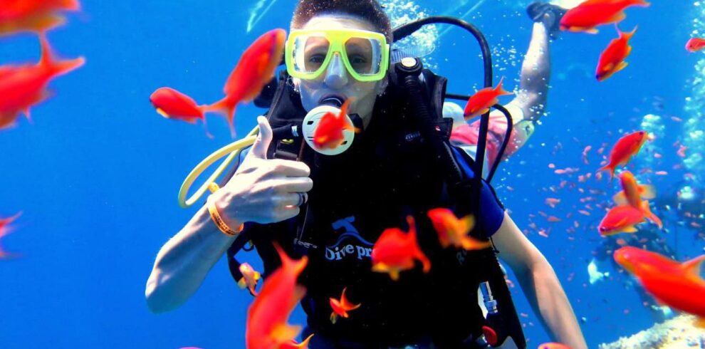 scuba diving sharm el sheikh