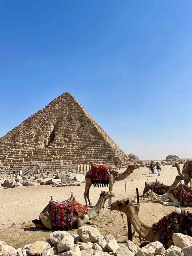 CAIRO AND ALEXANDRIA BY BUS 2 DAYS