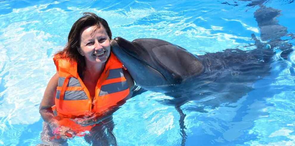 swim with dolphins hurghada