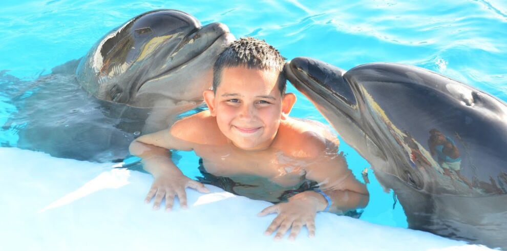 swim with dolphins hurghada