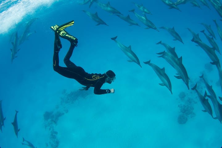 SATAYA BARRIERA DEI DELFINI IN BARCA