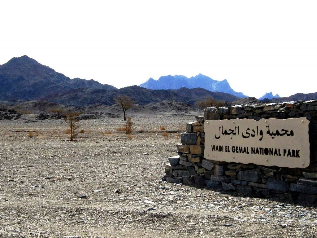 NATIONAL PARK VALLEY OF CAMELS